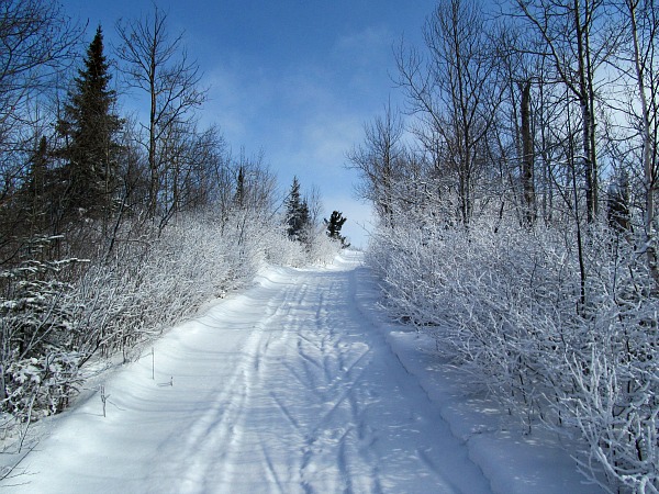 Gunflint Trail skiing