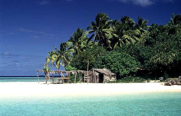 Tonga marine adventures