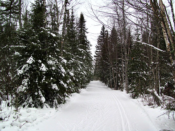 Pincushion Mountain ski trails