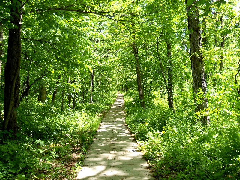 green hiking trails