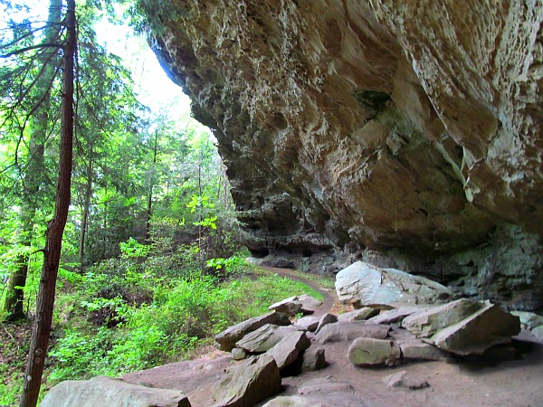 Red River Gorge cliff