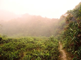 Rainforest trail Bach Ma