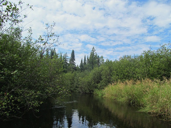 Wisconsin River headwaters