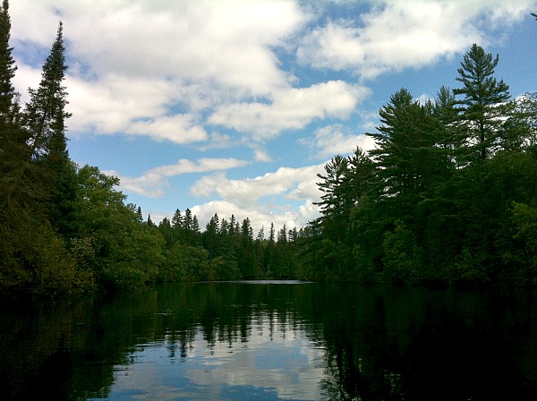 Pine River canoeing 