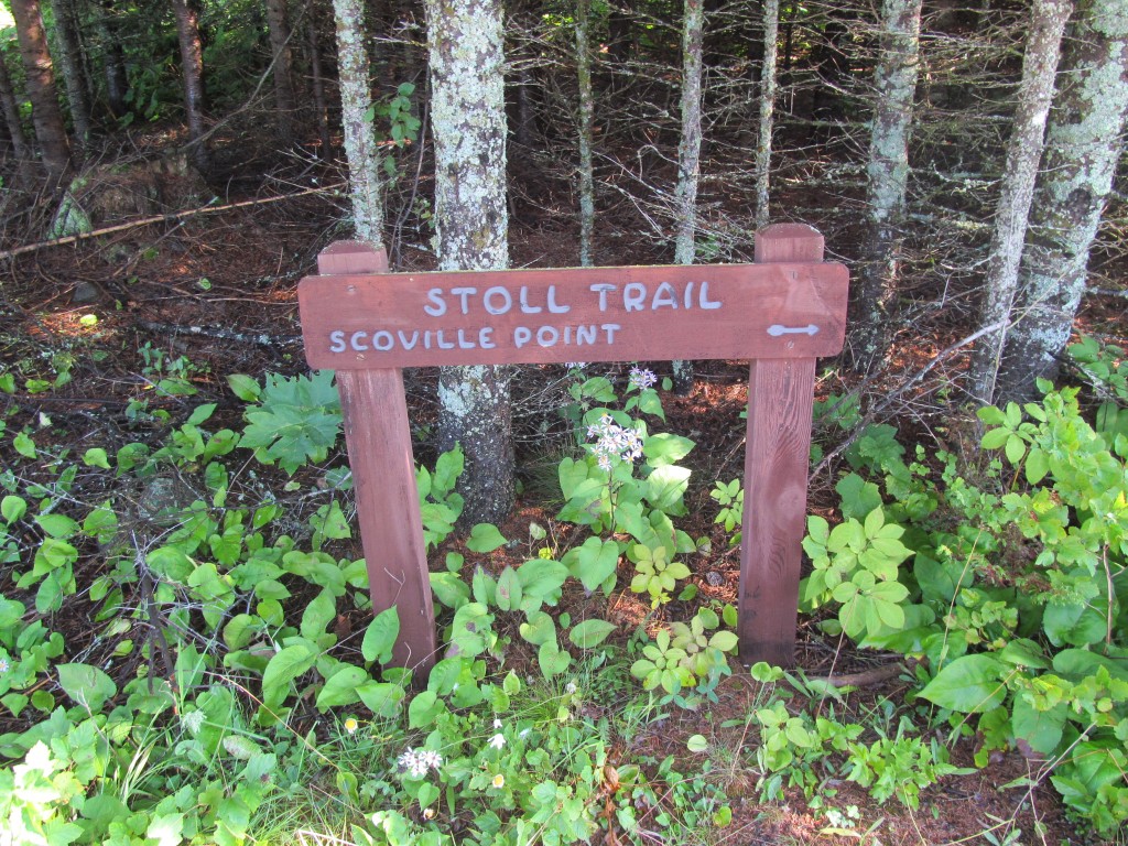 Hiking the Stoll Trail