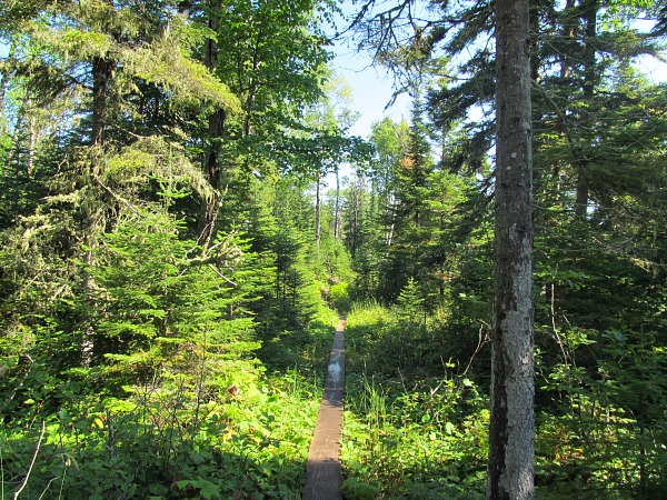 Stoll Trail Isle Royale