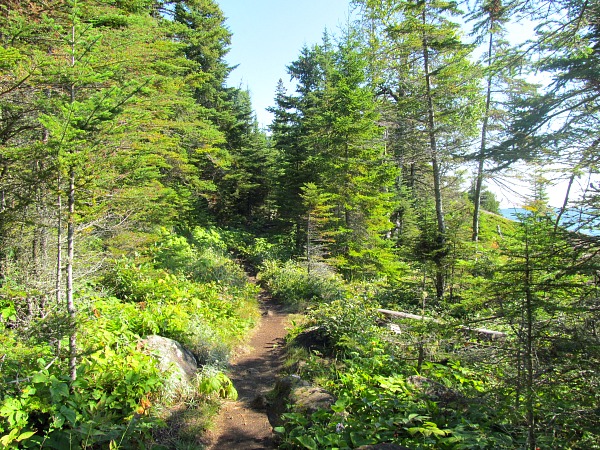 Stoll Trail Isle Royale