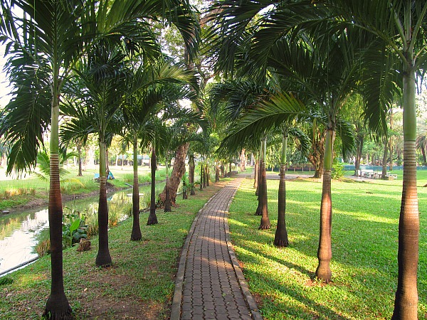 Lumpini Park Thailand