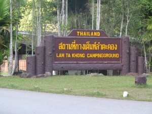Khao Yai National Park day one