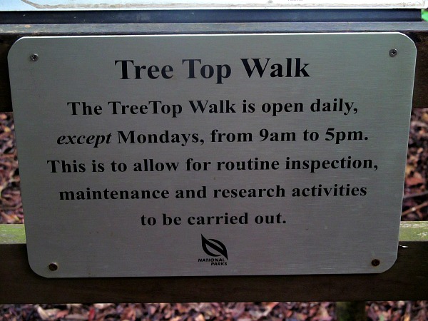 MacRitchie Park tree top walk