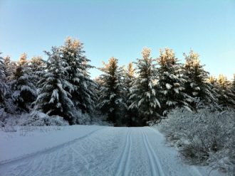 Birkie workout Nordic Trail