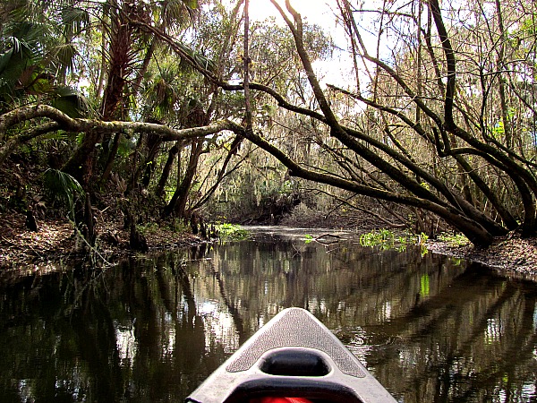 Canoeing the Hillsborough River