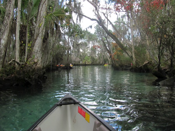 Three Sisters Springs canoeing with manatees