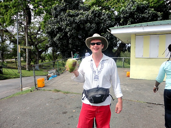 Coconut tropical fruit