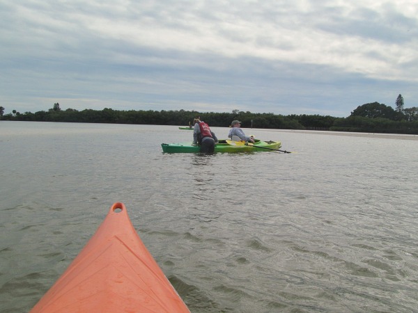 Weedon Island kayak adventure