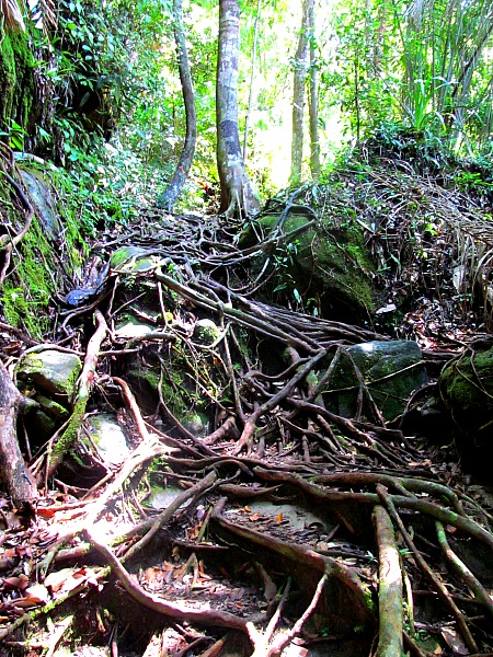 Bako National Park