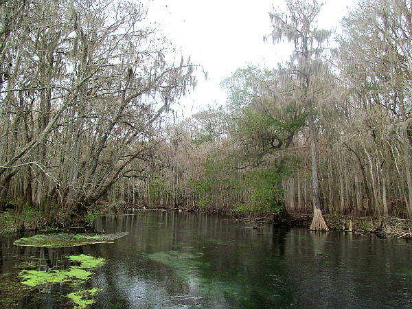 Beautiful Ichetucknee River Florida Canoeing