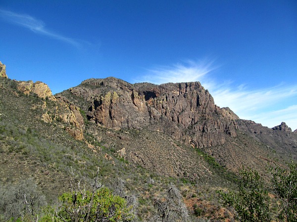 Big Bend Juniper Canyon