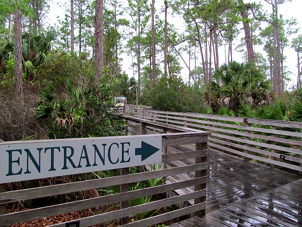 Corkscrew Swamp Sanctuary Boardwalk Trail