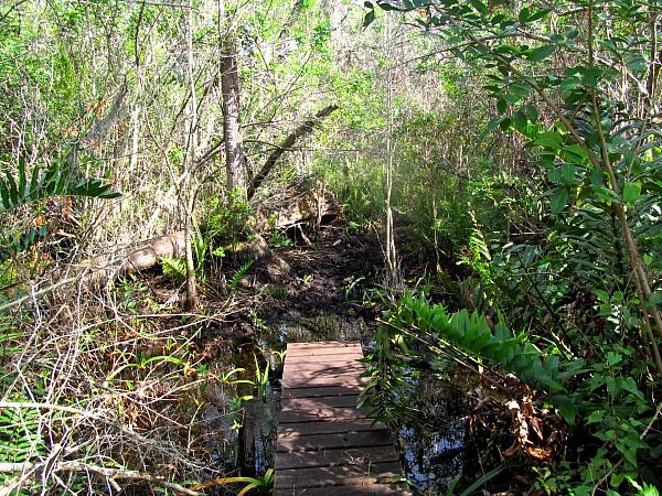 Collier-Seminole Adventure Trail