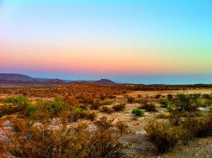 Big Bend Chihuahuan Desert