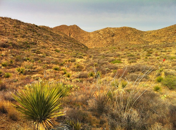 Big Bend Chihuahuan Desert