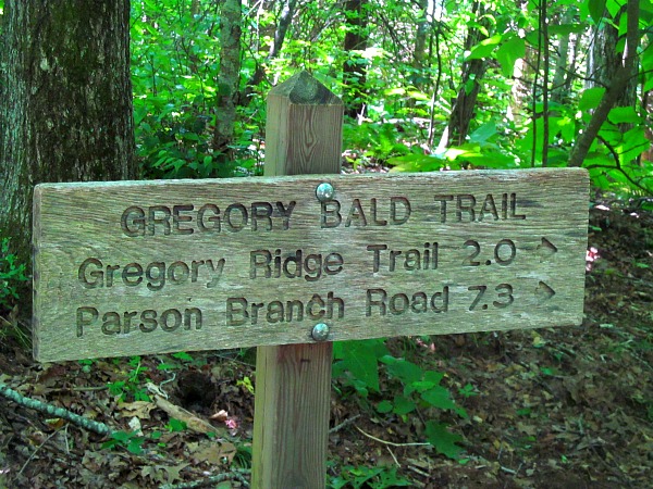 Great Smoky Mountain trail