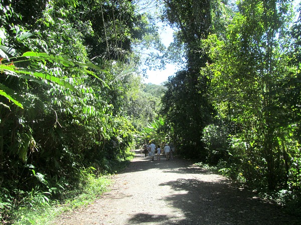 Manuel Antonio trail