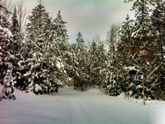 Minocqua Winter Park trail