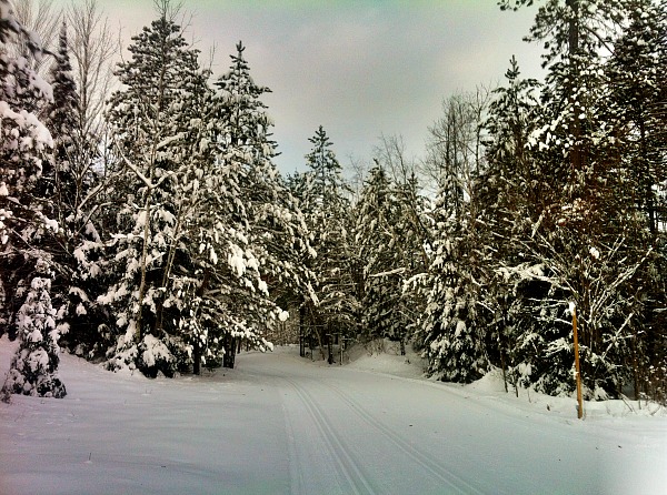 Minocqua Winter Park trail