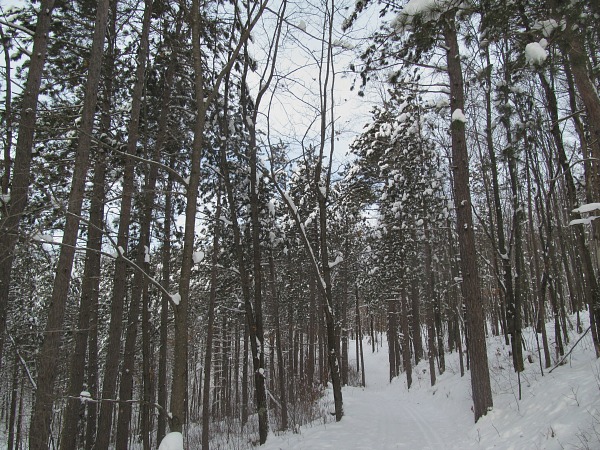 north central Wisconsin cross-country skiing