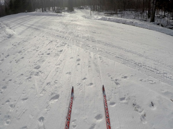 Madshus skis