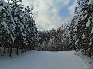 Minocqua Winter Park north central Wisconsin cross-country skiing