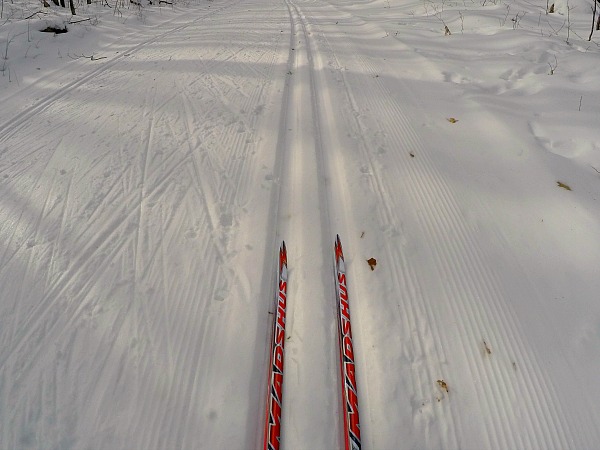 Madshus skis