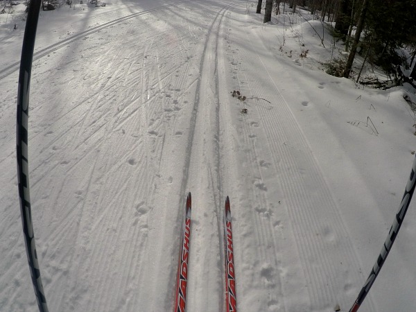Lakewood cross-country skiing