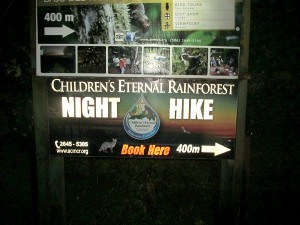Monteverde night walk