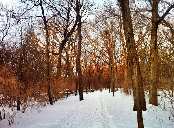 Blackwell Forest Preserve cross country skiing
