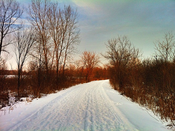 Blackwell Forest Preserve cross country skiing