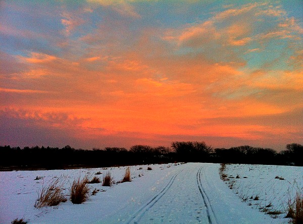 Blackwell Forest Preserve cross country skiing sunset