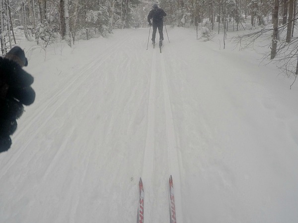Gatineau Loppet skiing