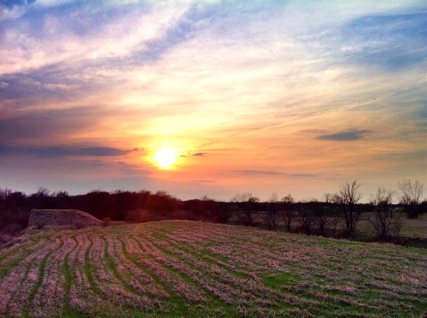 Midewin National Tallgrass Prairie sunset