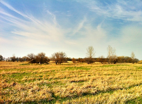 Midewin National Tallgrass Prairie