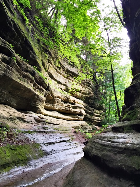 Day hikes near Chicago