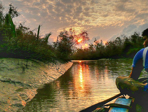 Sundarbans National Park India