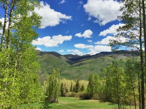 Berry Picker Trail Vail adventure up to the mountain peak