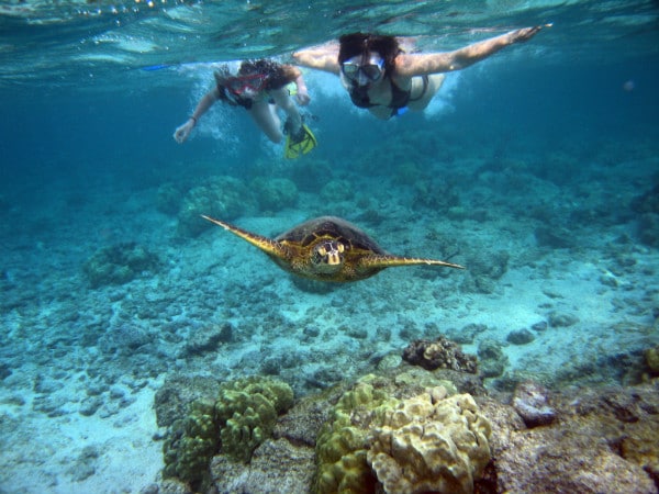 Snorkel Hawaii