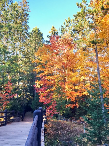 Copper Falls State Park fall color