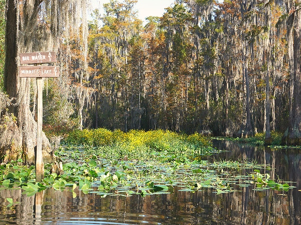 Okefenokee Swamp