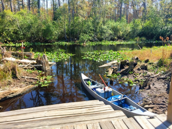 Okefenokee canoe rest area