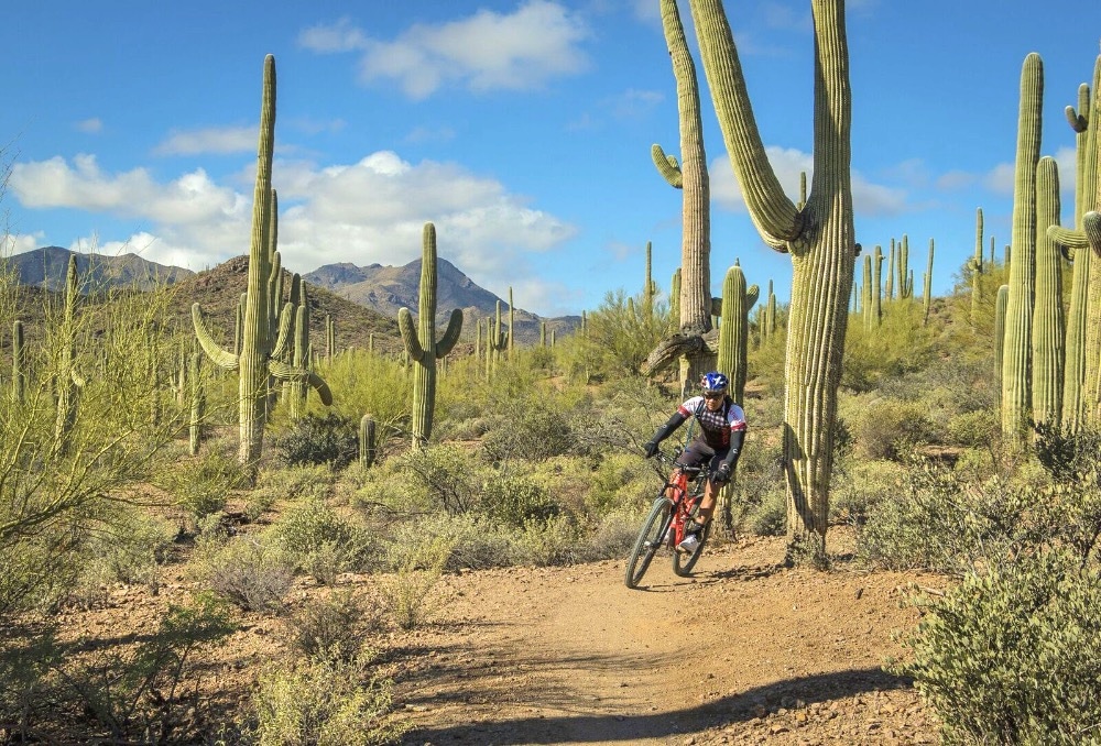 Mountain biking Tucson